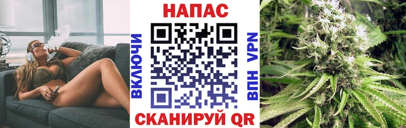 Виды наркотиков купить Дальнереченск Alpha PVP Меф Гашиш МАРИХУАНА