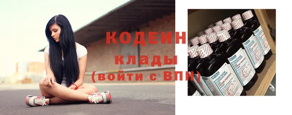дмт Тавда