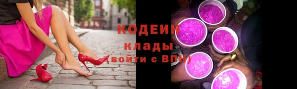 дмт Тавда