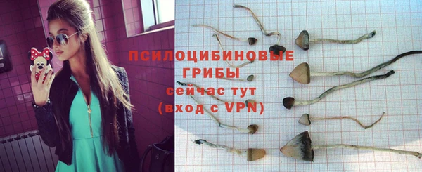 спиды Переславль-Залесский