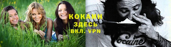прущие крисы Осташков