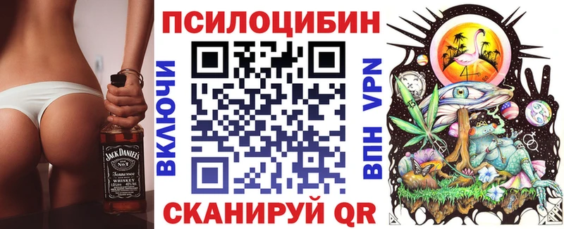 купить   Дальнереченск  Галлюциногенные грибы прущие грибы 