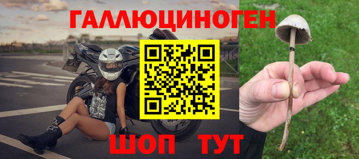 Дальнереченск  Псилоцибиновые грибы прущие грибы  Псилоцибиновые грибы ЛСД  Вход с VPN 